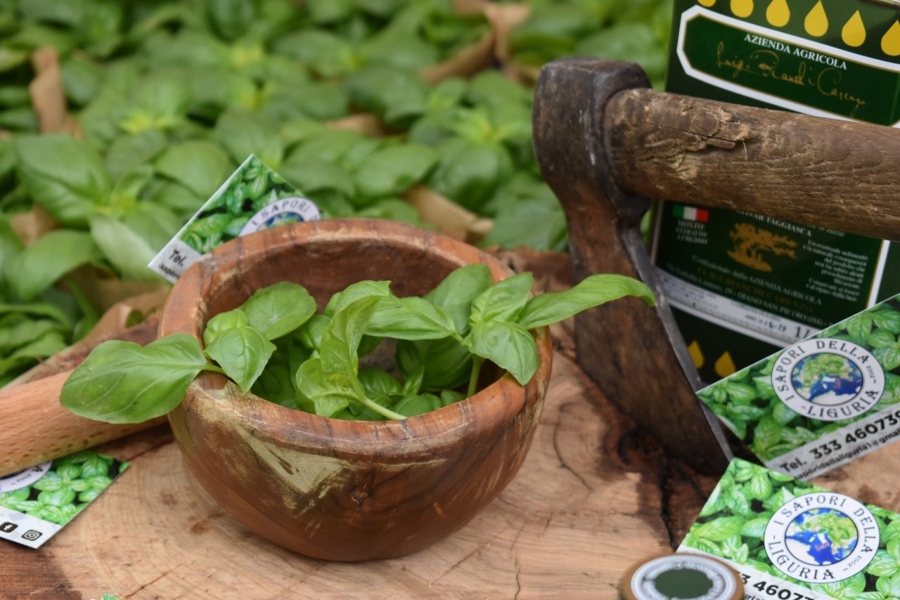 Aromatica 2019: domani la gara eliminatoria dei Mondiali di Pesto