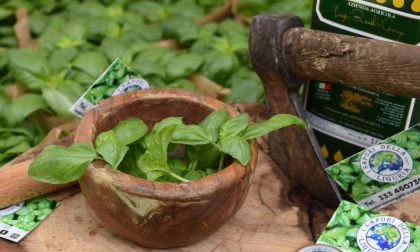 Aromatica 2019: domani la gara eliminatoria dei Mondiali di Pesto