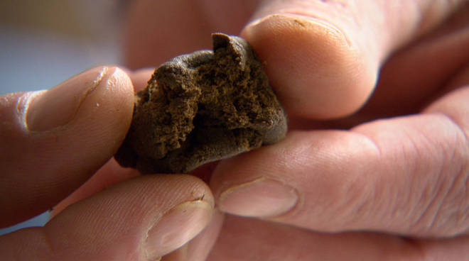 Nasconde hascisc nelle parti intime per il fratello in carcere