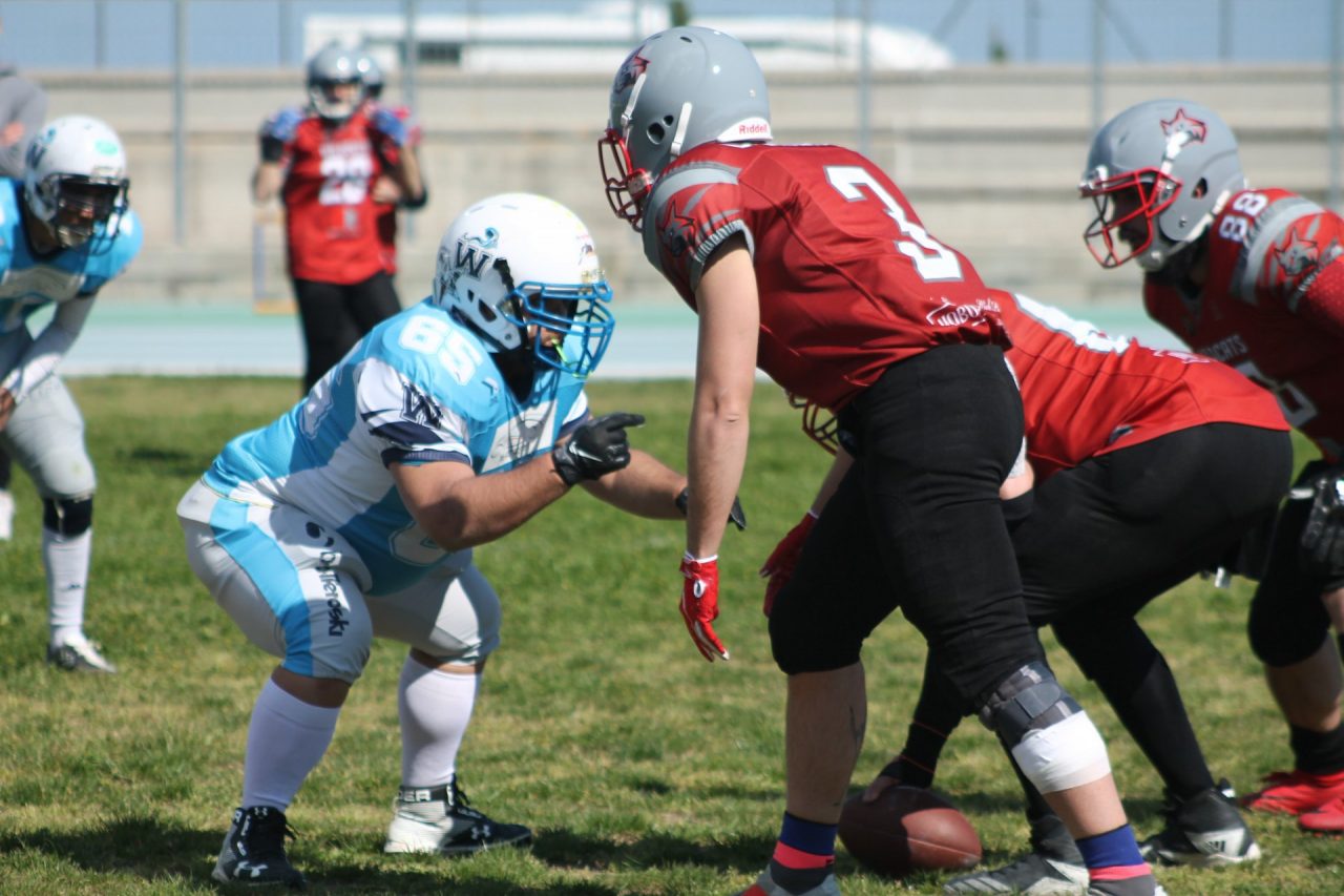Football: Waves Riviera dei Fiori cade in casa contro Wildcats Cremona