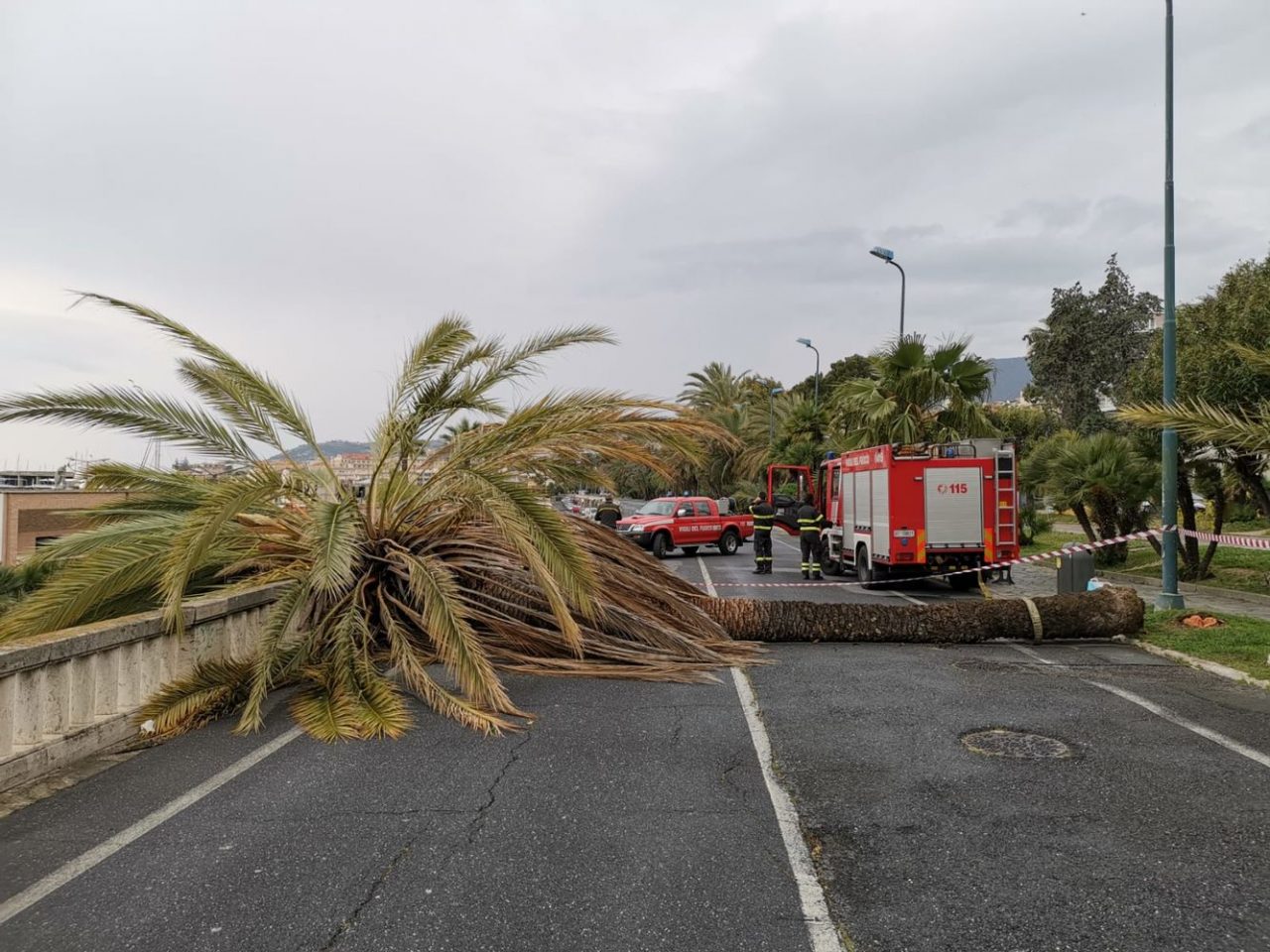 Crolla una palma al Sud-Est di Sanremo, vicino ai bambini