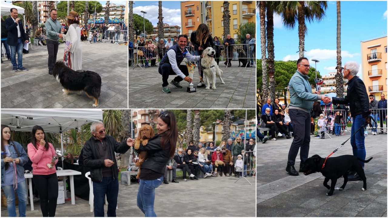Esposizione cinofila a San Bartolomeo, la classifica dei cani premiati. Il più bello è Josè