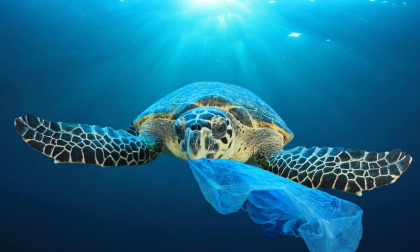 Imperia al Centro lancia la campagna plastic free