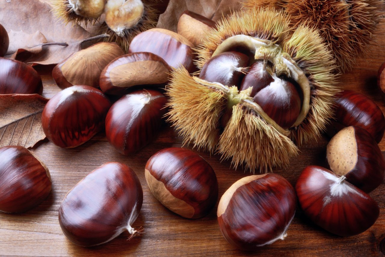 Crema di marroni richiamata per possibile presenza di corpi estranei