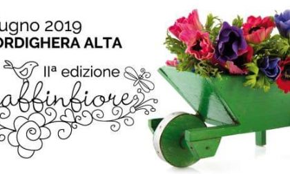 Nel weekend a Bordighera c'è Ciaraffinfiore