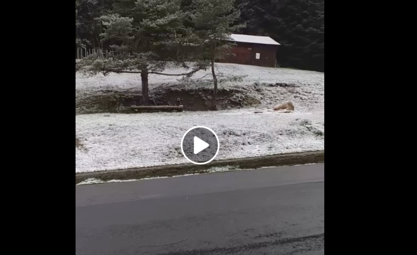 A Gouta nell’entroterra: 2 gradi e un manto bianco di neve