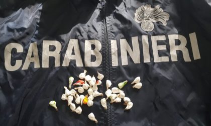 Carabinieri arrestano sanremese con 37 dosi di cocaina