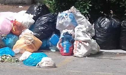 Vallecrosia prosegue la lotta contro i furbetti della spazzatura