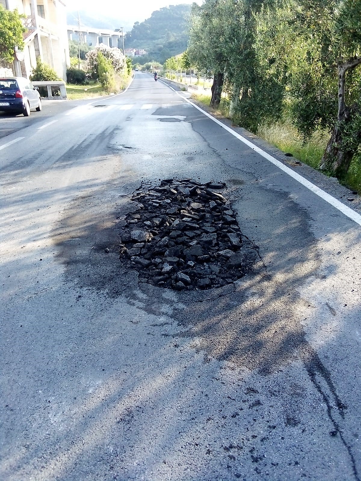 510_2019-06-22 07.36.08