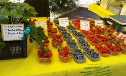 A San Bartolomeo al Mare il mercato dei produttori agricoli