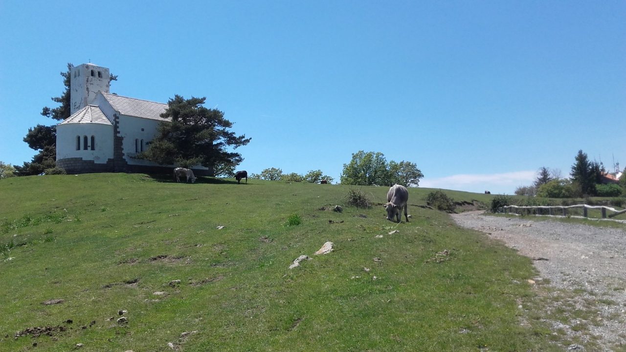 A Sanremo e sul Monte Bignone seminario sulla Flora delle Alpi Occidentali
