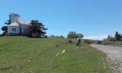 A Sanremo e sul Monte Bignone seminario sulla Flora delle Alpi Occidentali