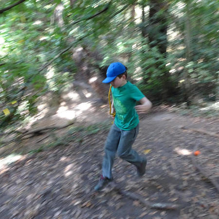 Un Campo Estivo alla scoperta del mondo del lavoro