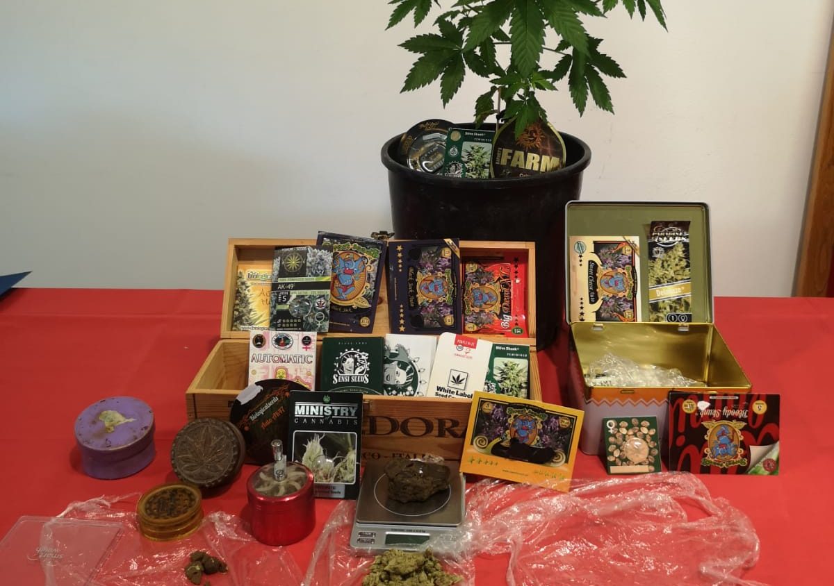 Operazione antidroga dei Carabinieri: 2 pusher in manette