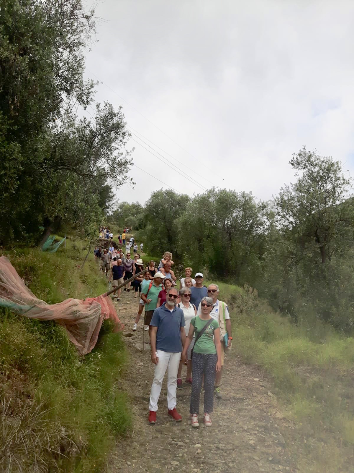 Visita-negli-Oliveti-nel-Borgo-di-Torre-Paponi