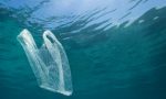 Tutto pronto per la giornata di raccolta rifiuti in mare, ma Plastic Free si dissocia