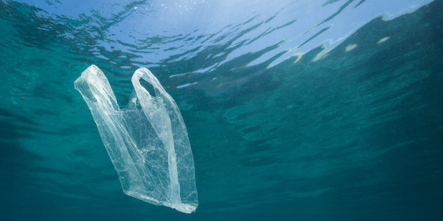 Tutto pronto per la giornata di raccolta rifiuti in mare, ma Plastic Free si dissocia