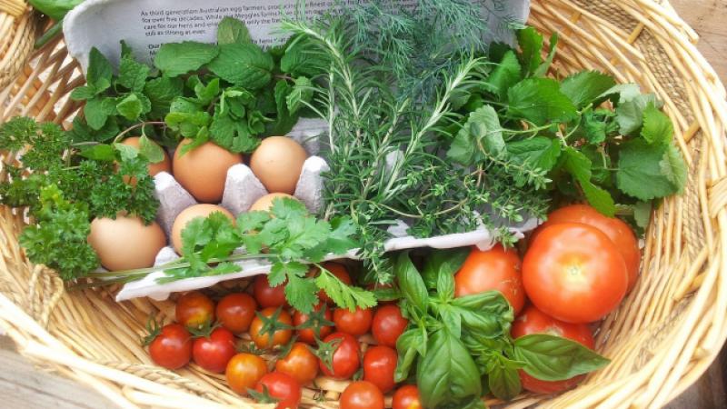 Controlli per tutelare il biologico made in Liguria