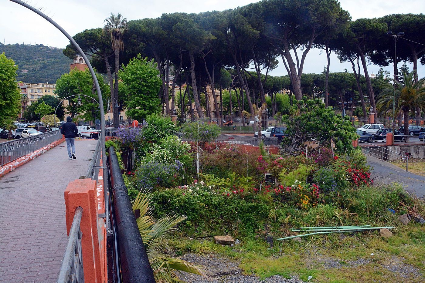 Carlo Carli giardino Roya Ventimiglia_06