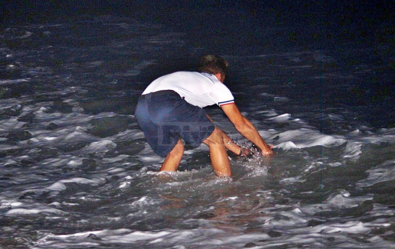 Cucciolo di delfino salvato dalla Guardia Costiera