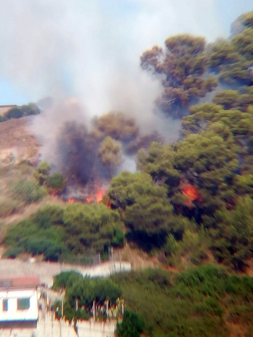 Bruciano le alture di San Biagio della cima