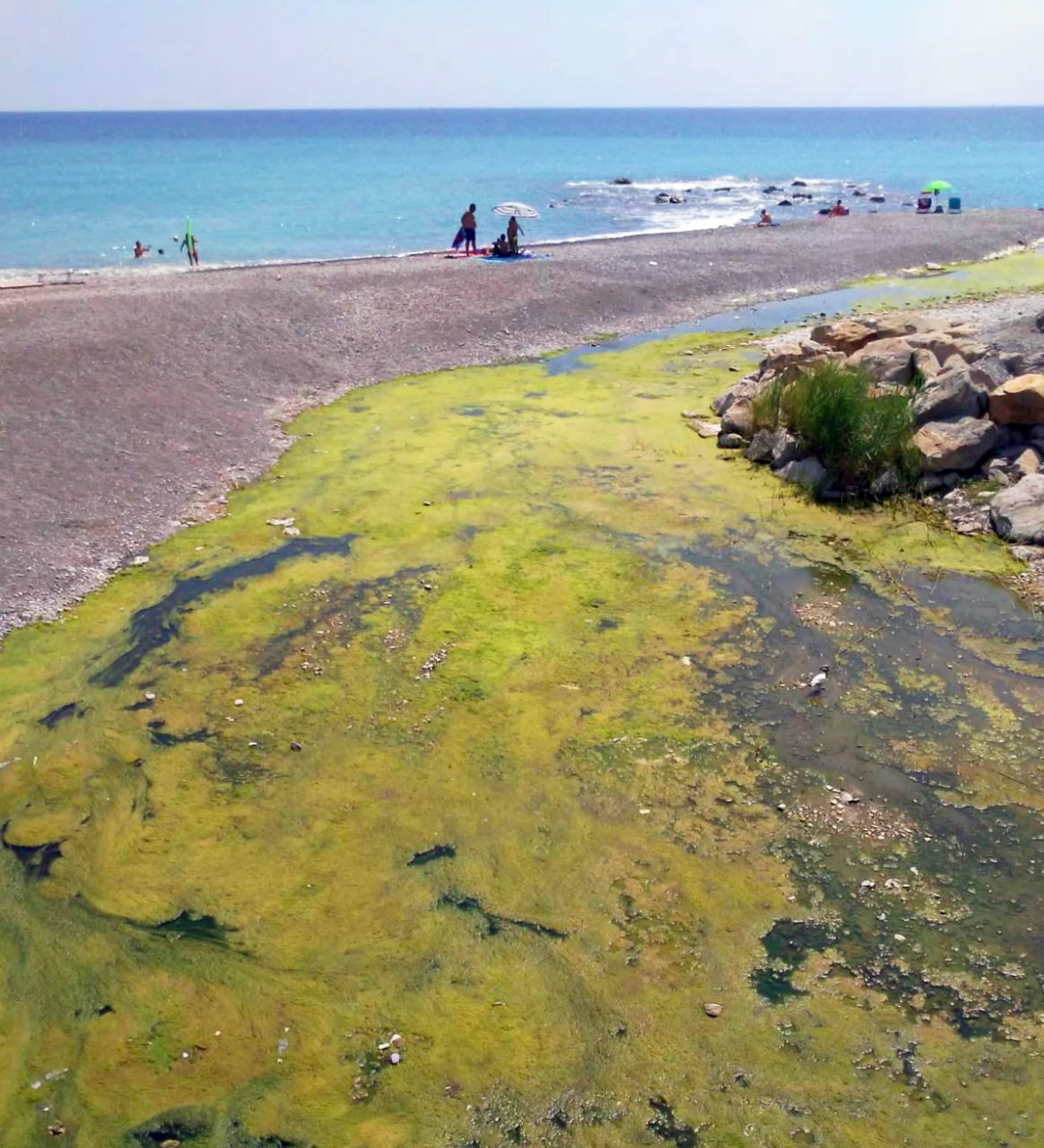 Vallecrosia: liquami e miasmi sul lungomare, denuncia della minoranza
