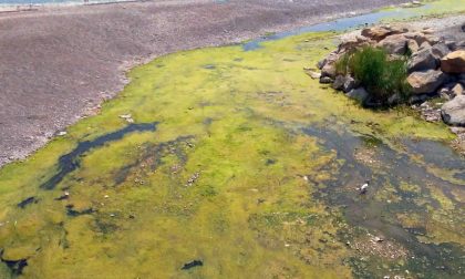 Vallecrosia: liquami e miasmi sul lungomare, denuncia della minoranza