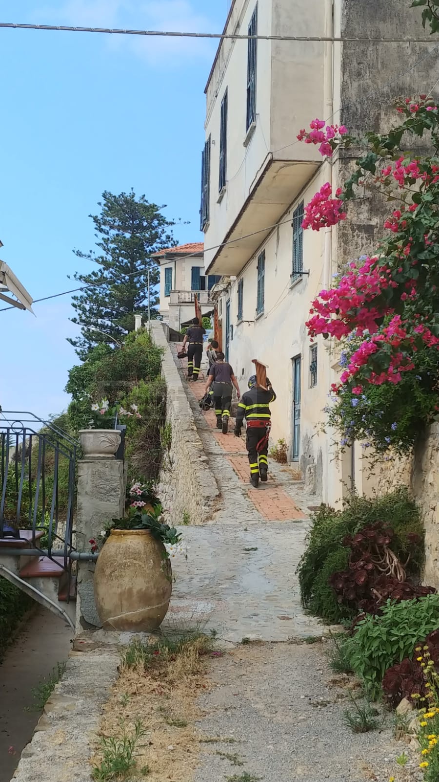 Vigili del fuoco Bordighera salvataggio gattino