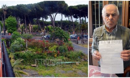 Il Comune spazza via il giardino di rose di Carlo: "Era la mia vita". Video