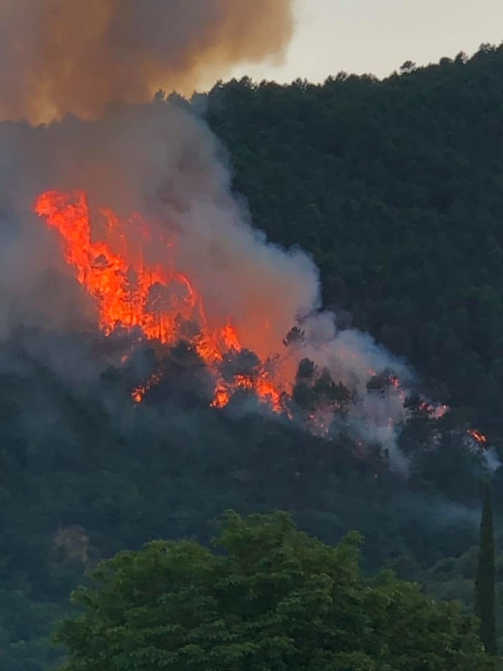 incendio baggioli