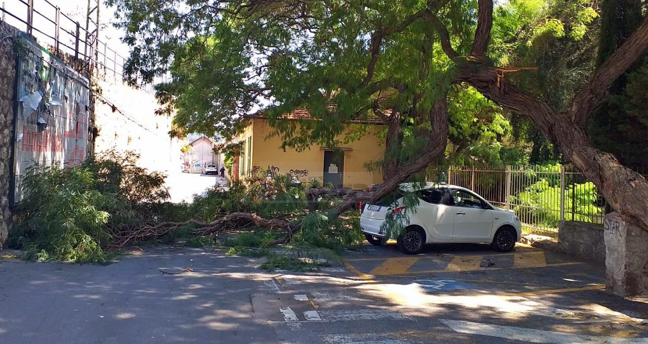 Crolla il ramo di un albero presa di striscio un’auto parcheggiata