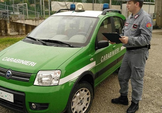 Le iniziative dei Carabinieiri Forestali per la Festa dell’Albero