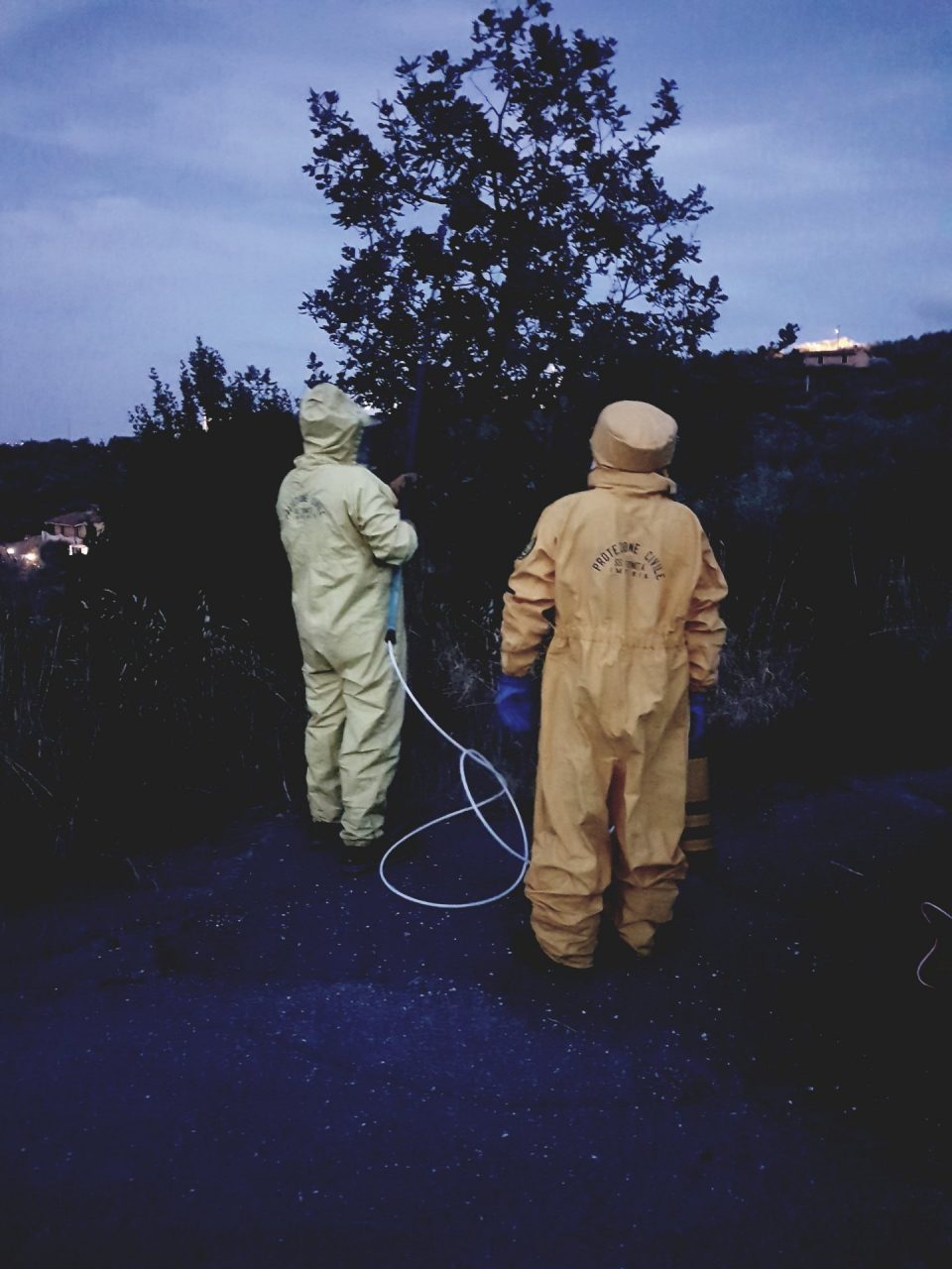 Terminato il progetto Life Stop Vespa contro la Velutina