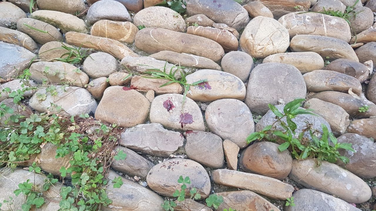 Macchie di sangue in via Montà a Sanremo