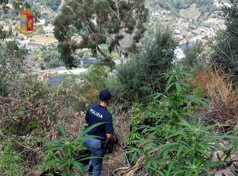 Marijuana Ventimiglia polizia sequestro Maximiliano Burgisi arrestato