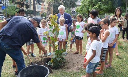Ventimiglia: prosegue la piantumazione di nuovi alberi