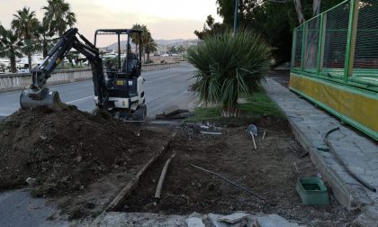 Per la nuova scuola Pascoli Sanremo costretta a sacrificare piante e aiuole storiche lungo la ciclabile