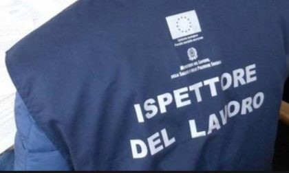 Berrino. Il Reddito di Cittadinanza favorisce il lavoro nero