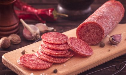 Salmonella nel salametto dolce