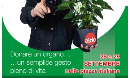 L'AIDO imperiese alla Giornata Nazionale di Informazione sulla Donazione degli Organi