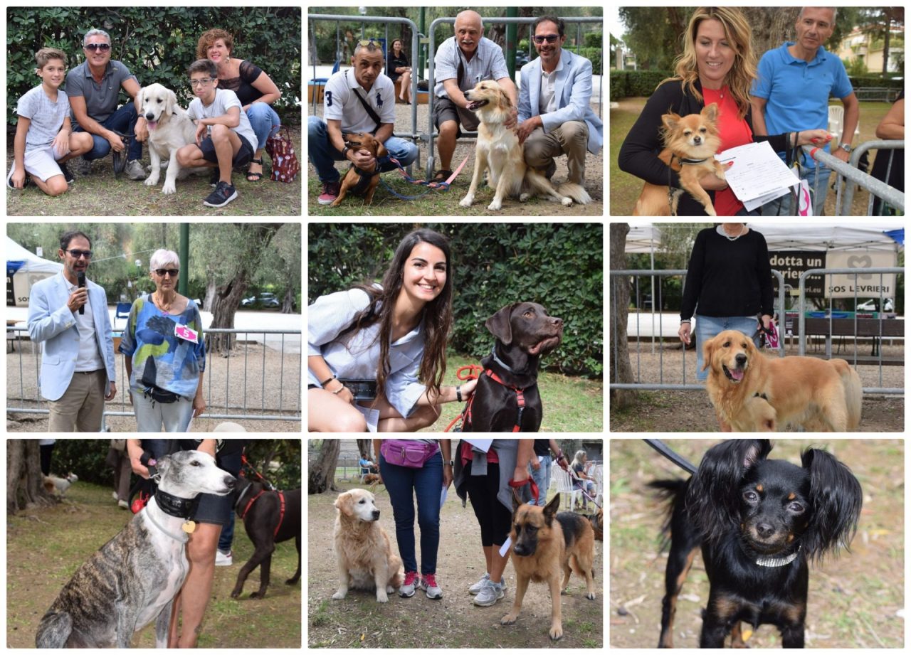 Si è aperto il Bordighera Dog Show: prima esposizione canina