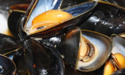 Biotossine algali nelle cozze, ritirati 5 lotti nei supermercati