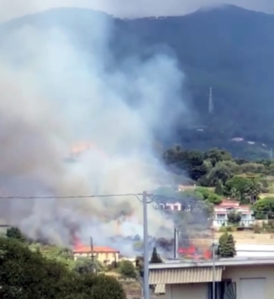Paura al Solaro di Sanremo per un incendio di sterpaglie