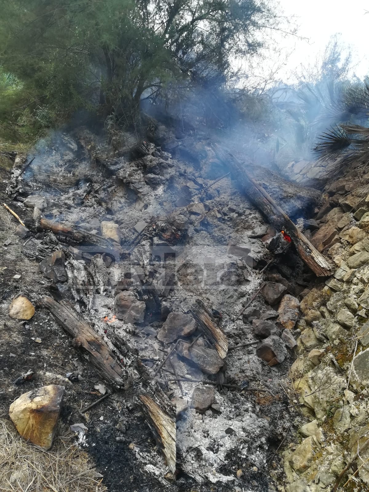 Incendio boschivo notturna Sasso Bordighera 1_02