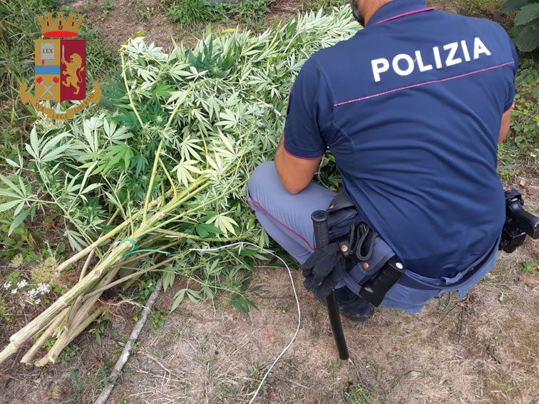 Polizia sequestro armi droga marijuana Isolabona