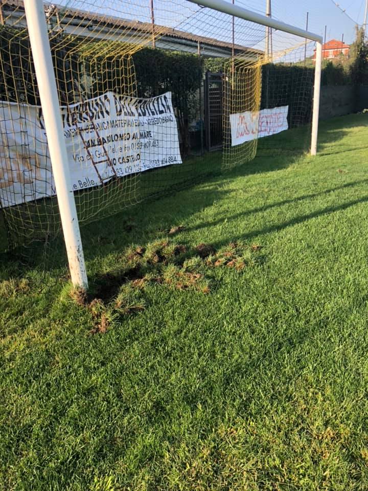 Il campo sportivo di Cervo devastato dai cinghiali