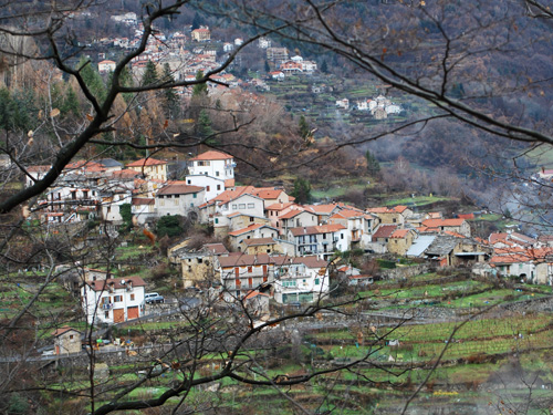 Montegrosso Pian di Latte si prepara per la Festa della Castagna