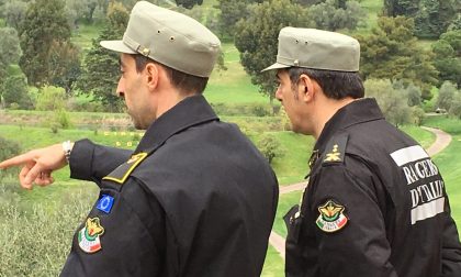 Collaborazione tra i Rangers d'Italia e i Carabinieri Forestali