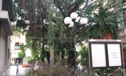 Disagi al traffico e detriti sulla carreggiata a Diano Marina per il maltempo