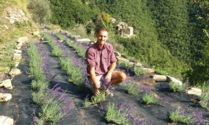 Un produttore di lavanda imperiese questa sera ai Soliti Ignoti